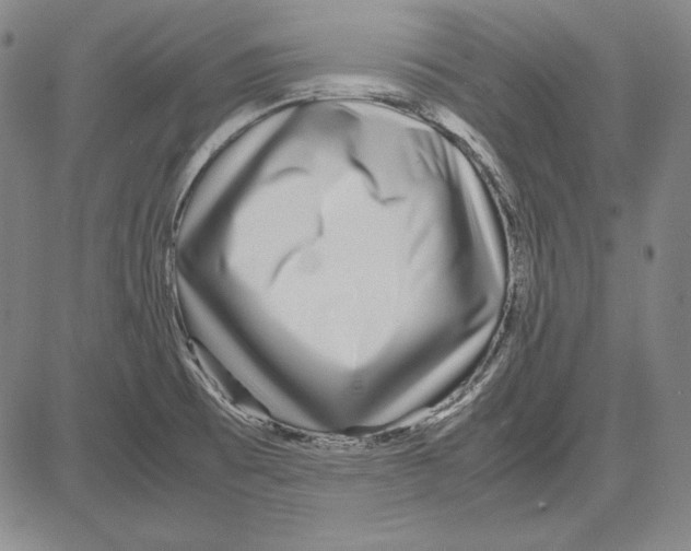 X0000081611473200702121602