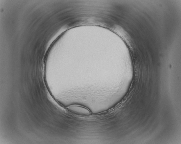 X0000081611476200702121602