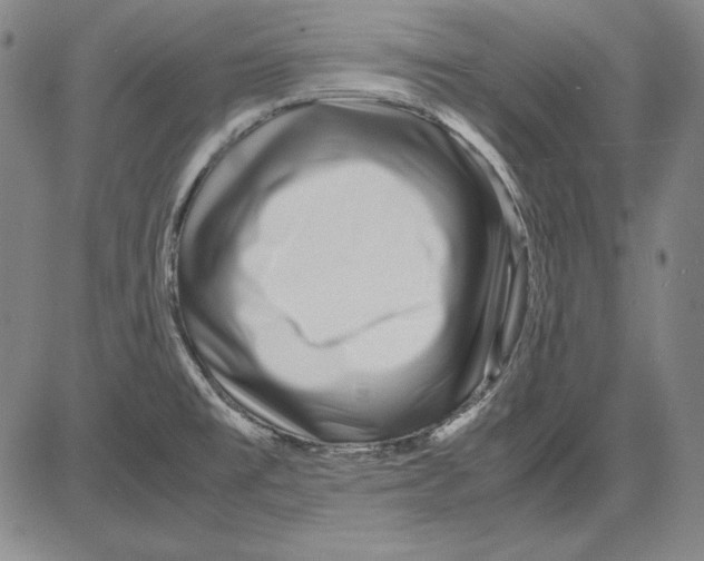 X0000081611477200702121602