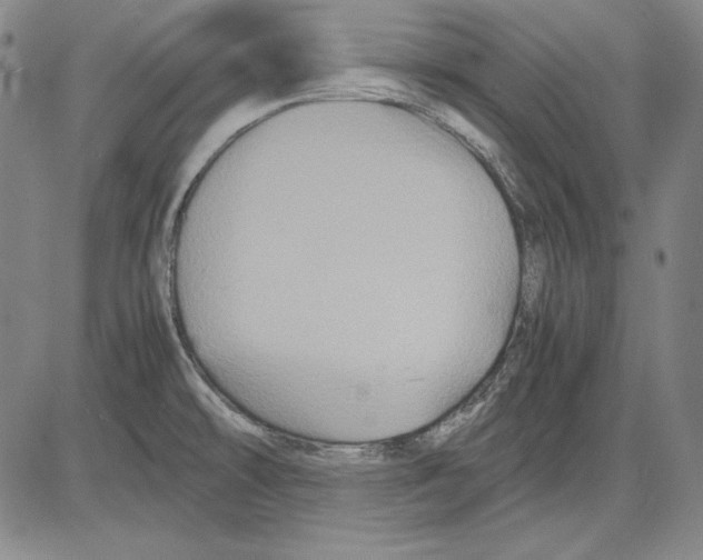 X0000081611478200702121602