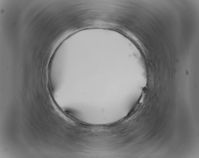 X0000081611479200702121602