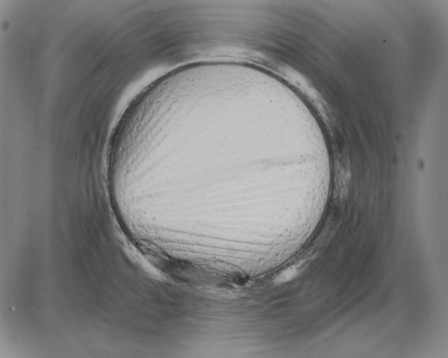 X0000081611480200702121602