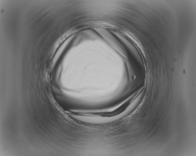 X0000081611481200702121602