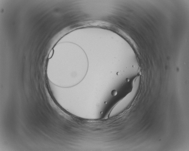 X0000081611483200702121602