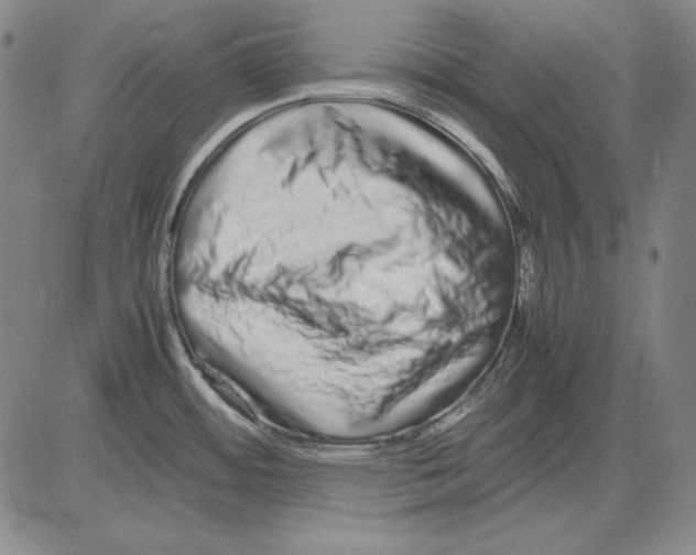 X0000081611484200702121602