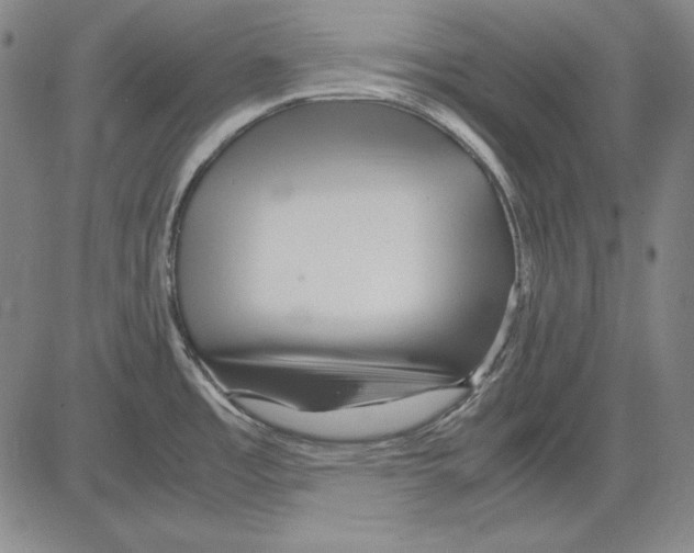 X0000081611485200702121602