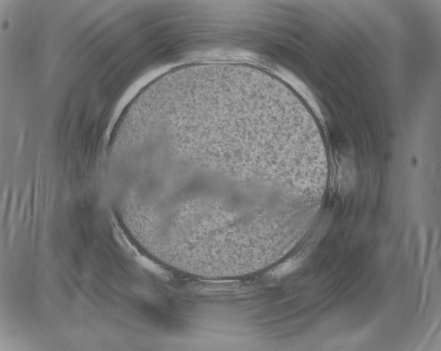 X0000081611486200702121602