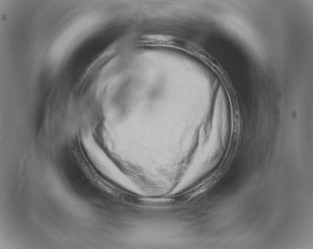 X0000081611487200702121602