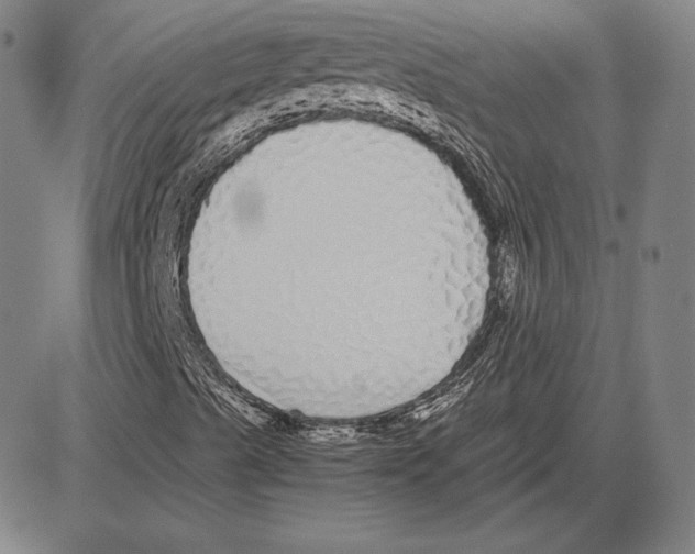 X0000081611489200702121601