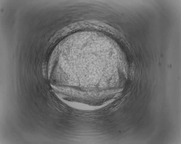 X0000081611490200702121601