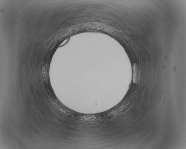 X0000081611491200702121601