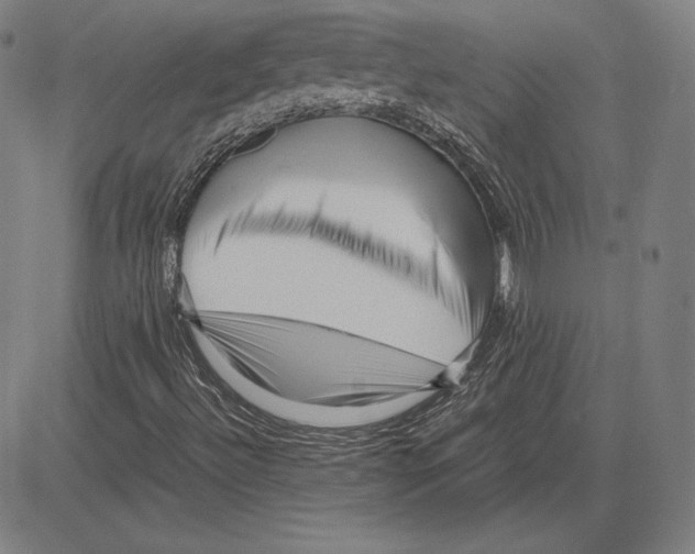 X0000081611492200702121601