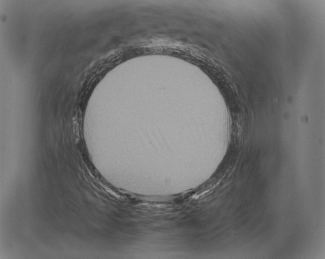 X0000081611493200702121601