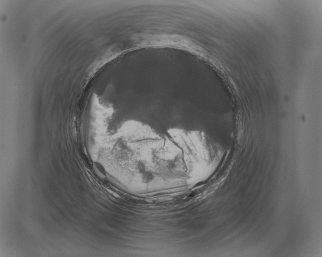 X0000081611497200702121601