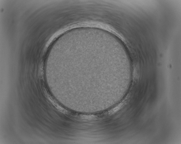 X0000081611498200702121601