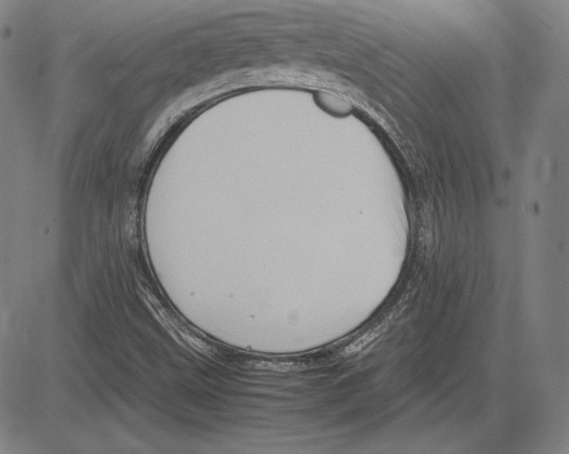 X0000081611499200702121601