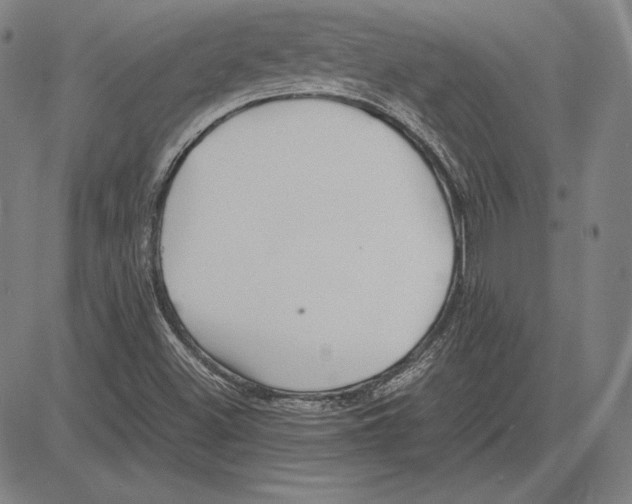 X0000081611500200702121601