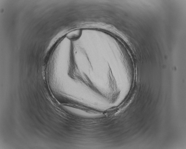 X0000081611501200702121601