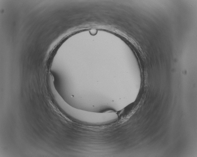 X0000081611502200702121601