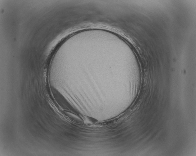 X0000081611503200702121601