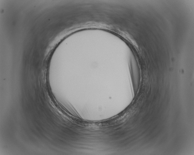 X0000081611504200702121601