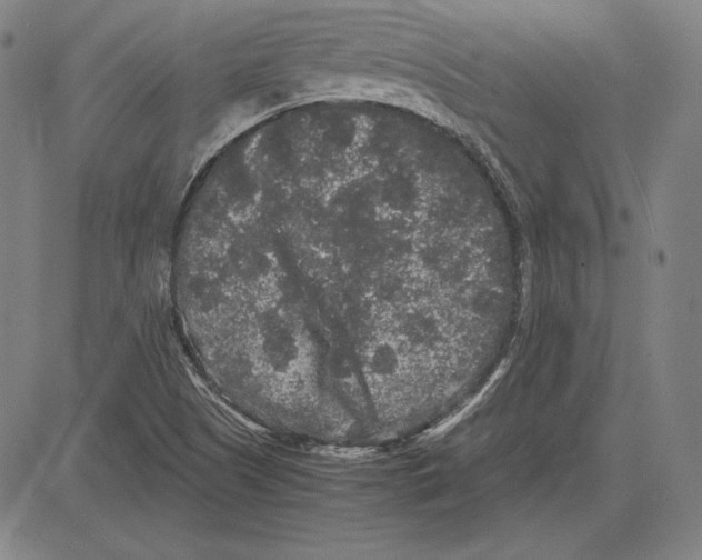 X0000081611505200702121601