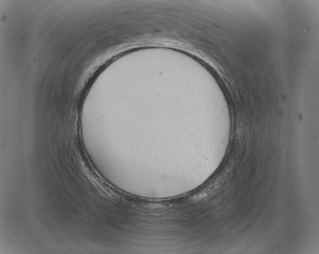 X0000081611507200702121601