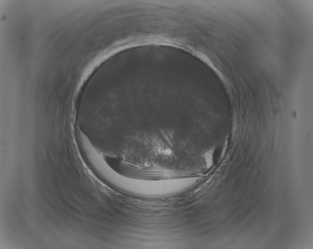 X0000081611508200702121601