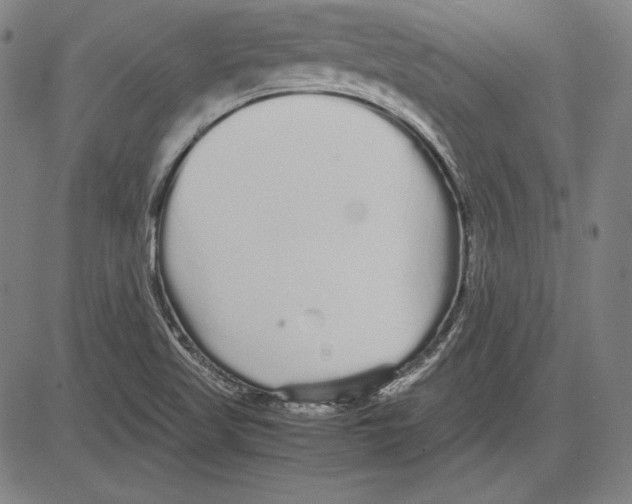 X0000081611509200702121601