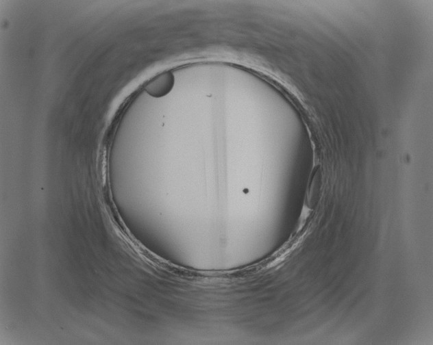 X0000081611510200702121601