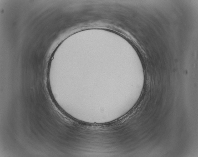 X0000081611512200702121601