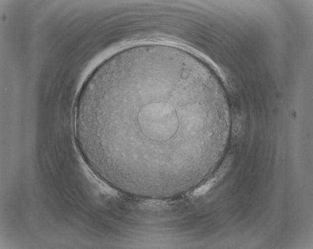 X0000081611514200702121601