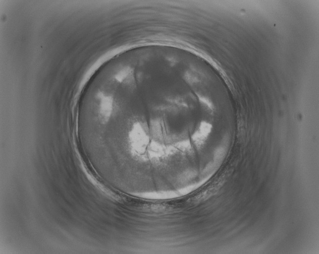 X0000081611515200702121601