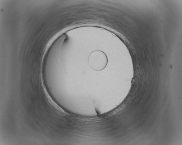 X0000081611518200702121601