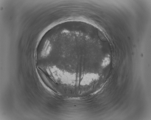 X0000081611519200702121601