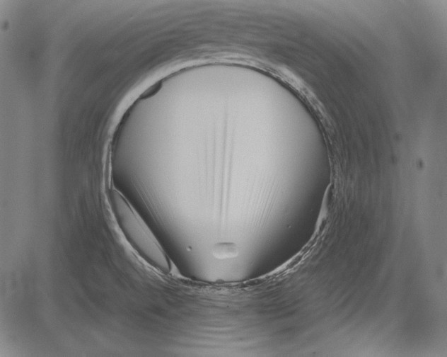 X0000081611520200702121601