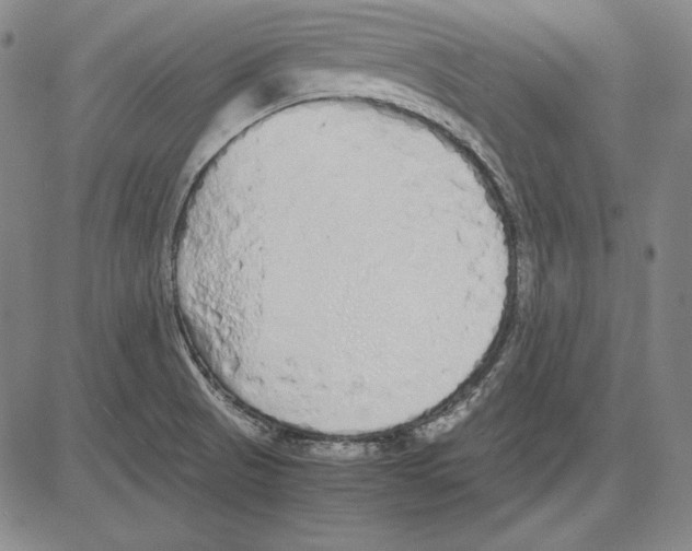 X0000081611521200702121601