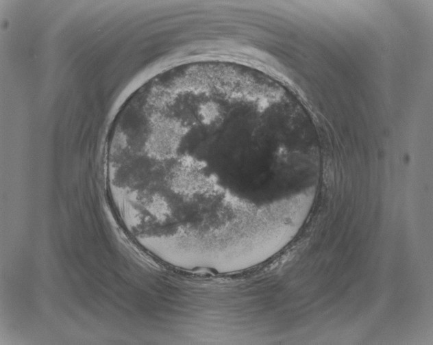 X0000081611522200702121601