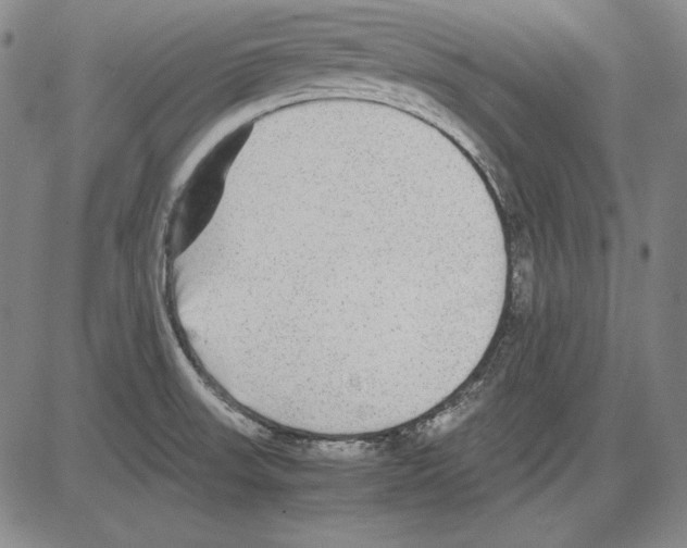 X0000081611523200702121601