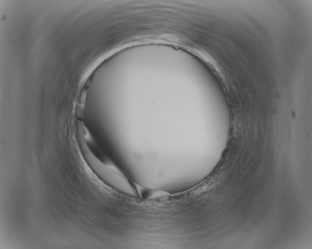 X0000081611524200702121601