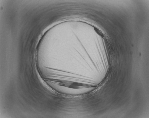 X0000081611526200702121602