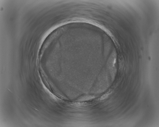 X0000081611527200702121602