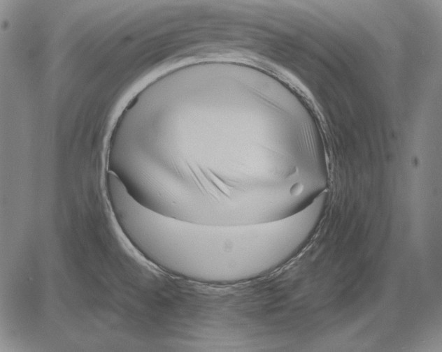 X0000081611528200702121602