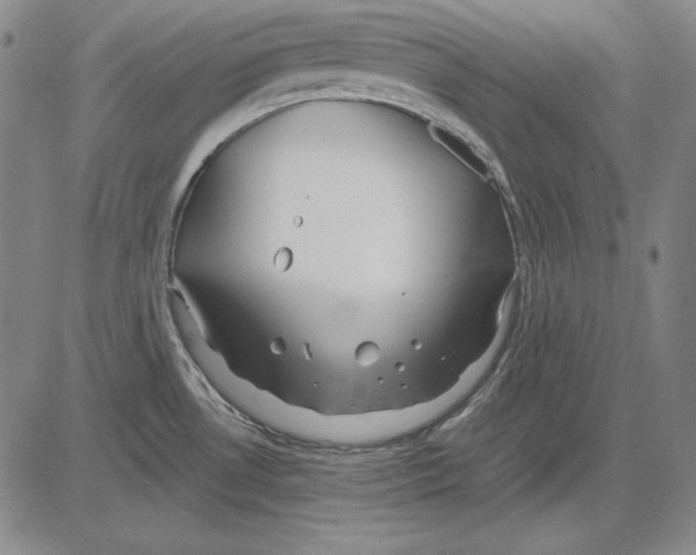 X0000081611530200702121602