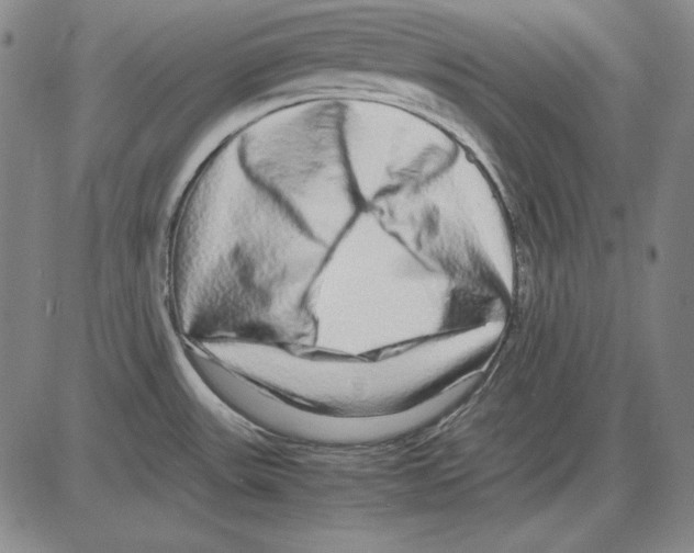 X0000081611531200702121602