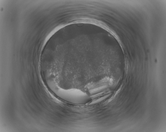 X0000081611533200702121602