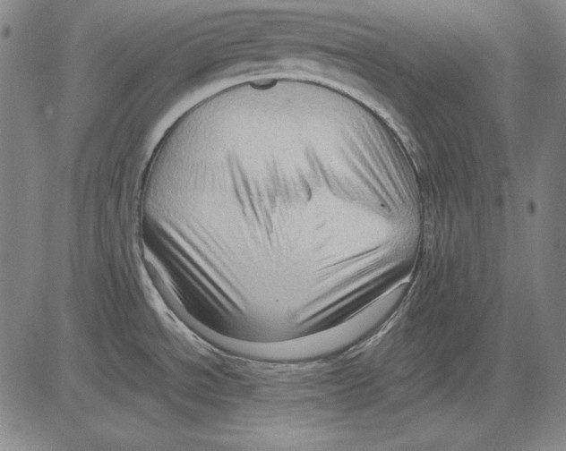 X0000081611534200702121602