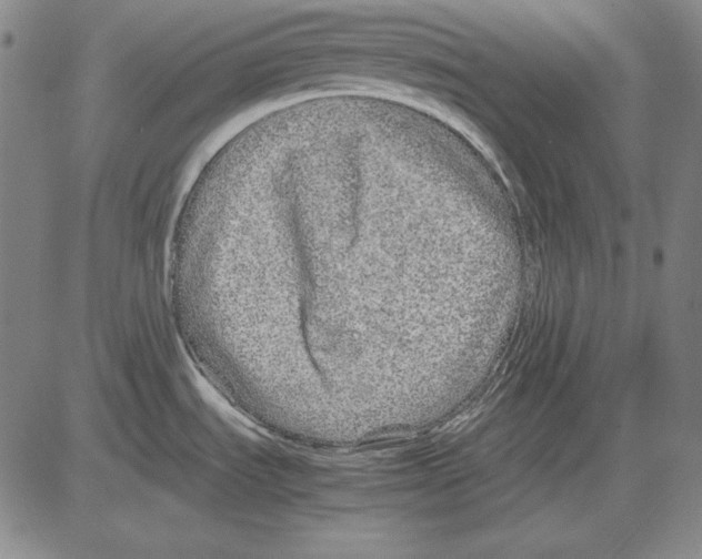 X0000081611535200702121602