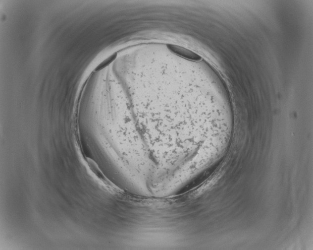 X0000081611536200702121602