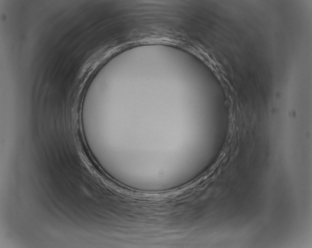 X0000081620002200701151106